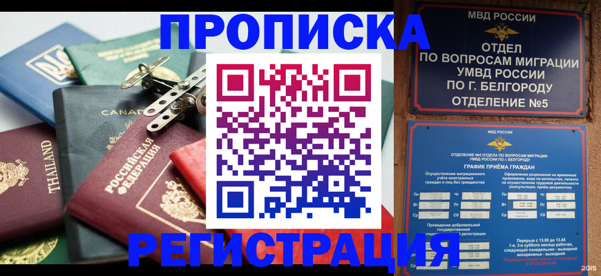 временная регистрация недорого в Щёлково